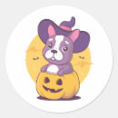 Search for frenchie stickers Pumpkin