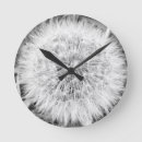 Search for black and white dandelion art Nature
