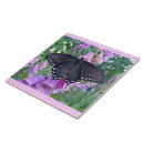 Search for foxgloves tiles Garden