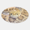 Search for rattlesnake stickers Serpent