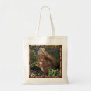 Search for red squirrel bags Nature