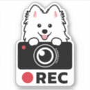 Search for samoyed bumper stickers Puppy
