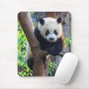 Search for bear cub mousepads China