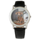 Search for animal watches Dachshund