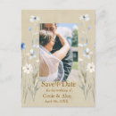 Search for blue wildflower postcards Elegant botanical