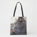 Search for cute kitty bags Calico