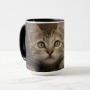 Search for tabby kitten mugs Cute