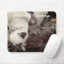 Search for buddy mousepads Pets