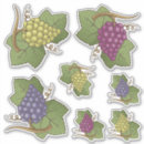 Search for green grapes stickers Food