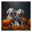 Search for dalmatian puppy posters Animal