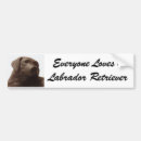 Search for black lab bumper stickers Puppy