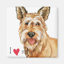 Search for berger magnets Dog