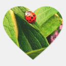 Search for ladybird stickers Green