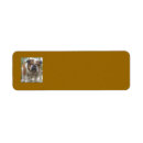 Search for english bulldog return address labels Cute