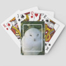 Search for owl playing cards Snow