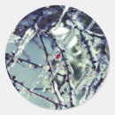 Search for frozen stickers Winter