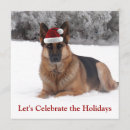 Search for dog wearing invitations German shepherd dog