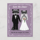 Search for raccoon weddings Cute