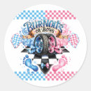 Search for pink car stickers Chequered flag