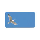 Search for seagull return address labels Animal