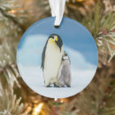 Search for animals of the wild christmas tree decorations Emperor penguin