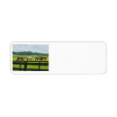 Search for thoroughbred horse return address labels Horses