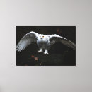 Search for black and white bird canvas prints Owl