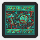 Search for animal rights stickers Vegetarian