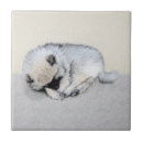 Search for sleep tiles Dog
