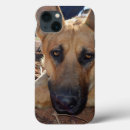 Search for alsatian iphone cases German shepherd