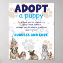 Search for adopt puppy posters Dog
