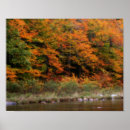 Search for river fall art Nature