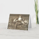 Search for fencer cards Fencing
