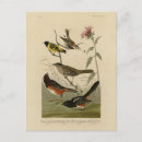 Search for collar postcards Lithograph