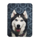 Search for posing magnets Dog