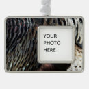 Search for wild turkey christmas tree decorations Nature