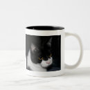 Search for pretty kitty mugs Cat