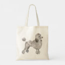 Search for poodle accessories Illustration