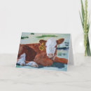 Search for hereford cow postcards Calf