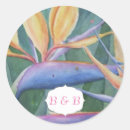 Search for birds of paradise stickers Nature