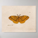 Search for scientific illustration posters Science