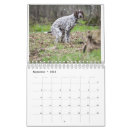 Search for dog calendars Pooping