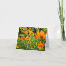 Search for cosmos cards Nature