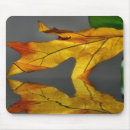 Search for reflection mousepads Nature