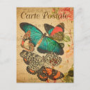 Search for vintage butterfly postcards French