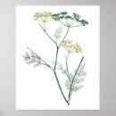 Search for softness posters Green