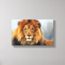 Search for african lion canvas prints Lions