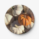 Search for white pumpkin plates Harvest