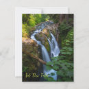Search for sol postcards Olympic national park
