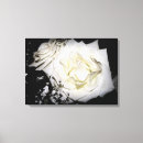 Search for macro rose canvas prints Petals